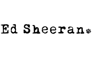 Ed-Sheeran-Logo-1024x640